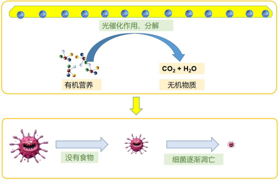 202107-1新闻稿959.png
